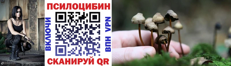 купить   Киренск  Псилоцибиновые грибы Magic Shrooms 